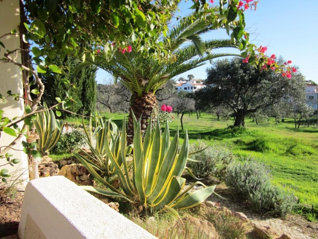 Отель Quinta Mimosa Лоле Номер фото